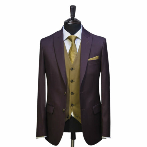 Men Plum 3 Piece Suit
